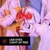 image:imageHaunted Hill Farm 52Ft Shaking Headless Doctor Halloween Animatronic61
