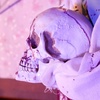 image:imageHaunted Hill Farm 52Ft Shaking Headless Doctor Halloween Animatronic61