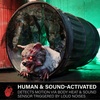 image:imageHaunted Hill Farm 56Ft Zombie Animatronic with Knife amp Head24