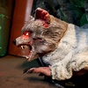 image:imageHaunted Hill Farm 56Ft Zombie Animatronic with Knife amp Head24